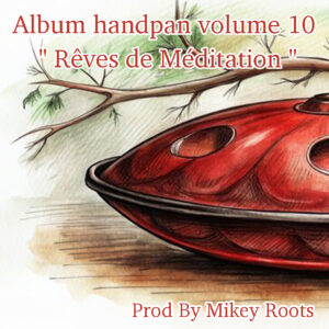 Prod By Mikey Roots Album handpan volume 10 " spirit " 2025